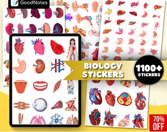 Plus de 1 100 autocollants numériques de biologie et d'anatomie | Stickers corps humain pré-recadrés | GoodNotes dessinés à la main pour iPad | Fichier PNG | Prendre des notes, étudier