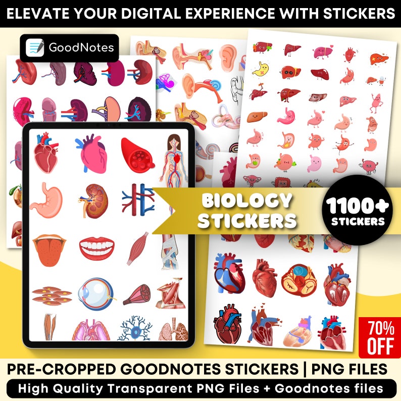 1100 Biology & Anatomy Digital Stickers Pre-cropped Human Body Stickers Hand-Drawn iPad GoodNotes PNG File Note-Taking, Studying image 1