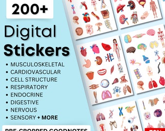 Biology & Anatomy Digital Stickers | Pre-cropped Human Body Stickers | Hand-Drawn iPad GoodNotes| PNG File | Note-Taking, Planning, Studying