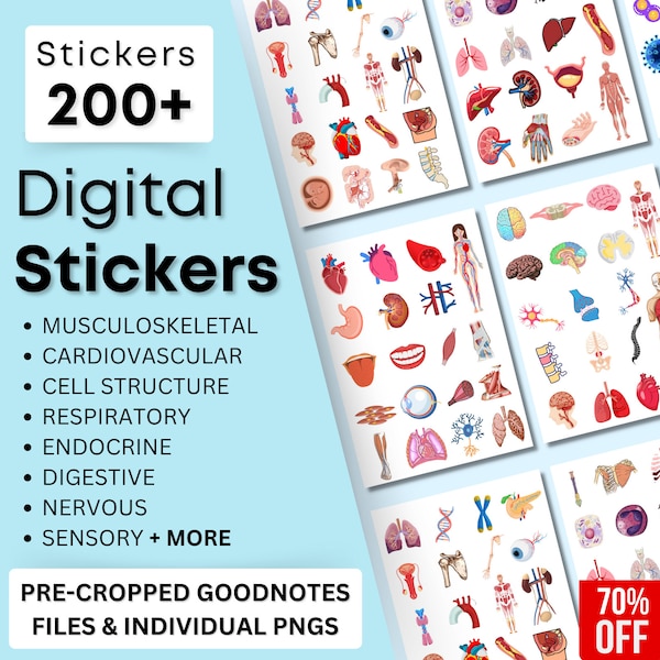 Goodnotes Stickers Anatomy Download Etsy