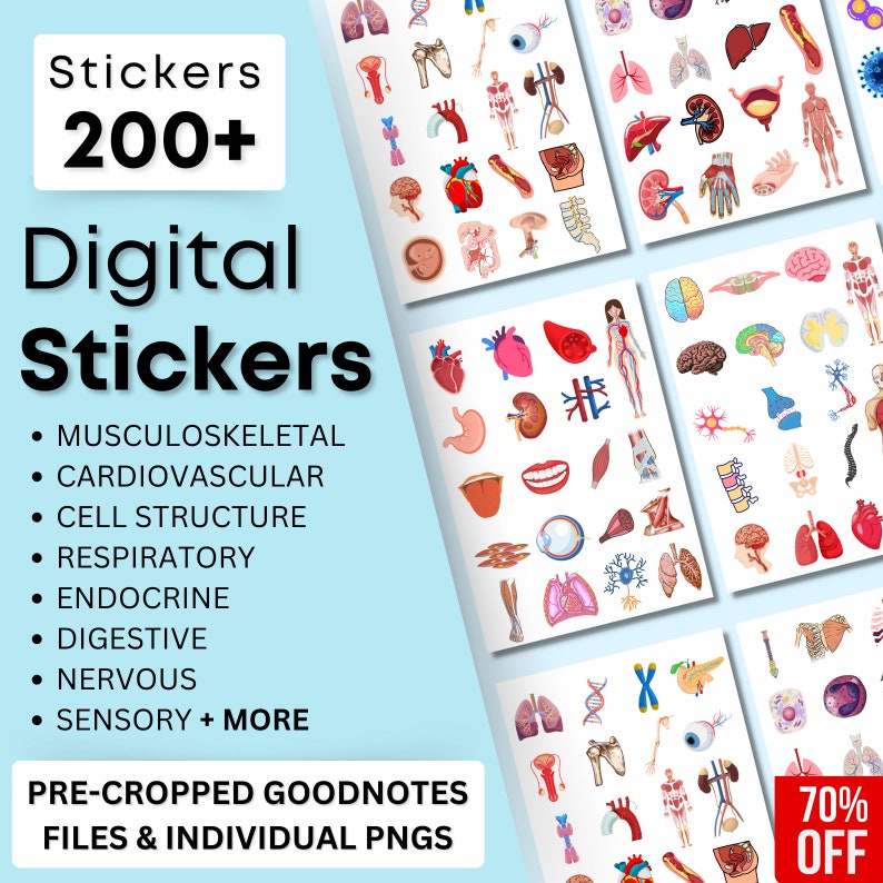 Anatomy Digital Stickers: Human Body Diagrams for Goodnotes (PNG File ...