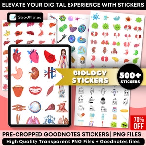 Anatomy Medical Goodnotes Stickers, Pre-Cropped Human Body & Anatomy Stickers, Individual PNG Sticker, IPad Planner Stickers