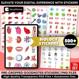 500+ Biology & Anatomy Digital Stickers | Pre-cropped Human Body Stickers | Hand-Drawn iPad GoodNotes| PNG File | Note-Taking, Studying