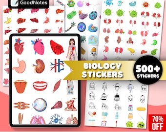 Anatomy Stickers: Medical Diagrams for GoodNotes, PNG (Digital Download)
