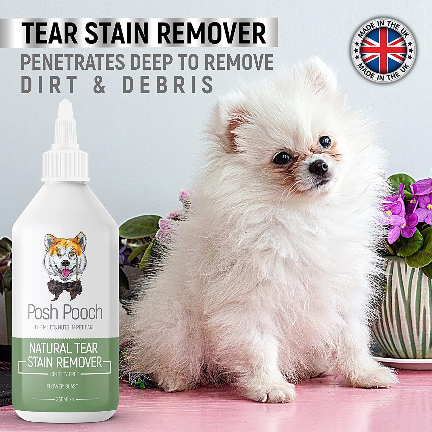 How To Get Rid Of Tear Stains On Dogs Naturally