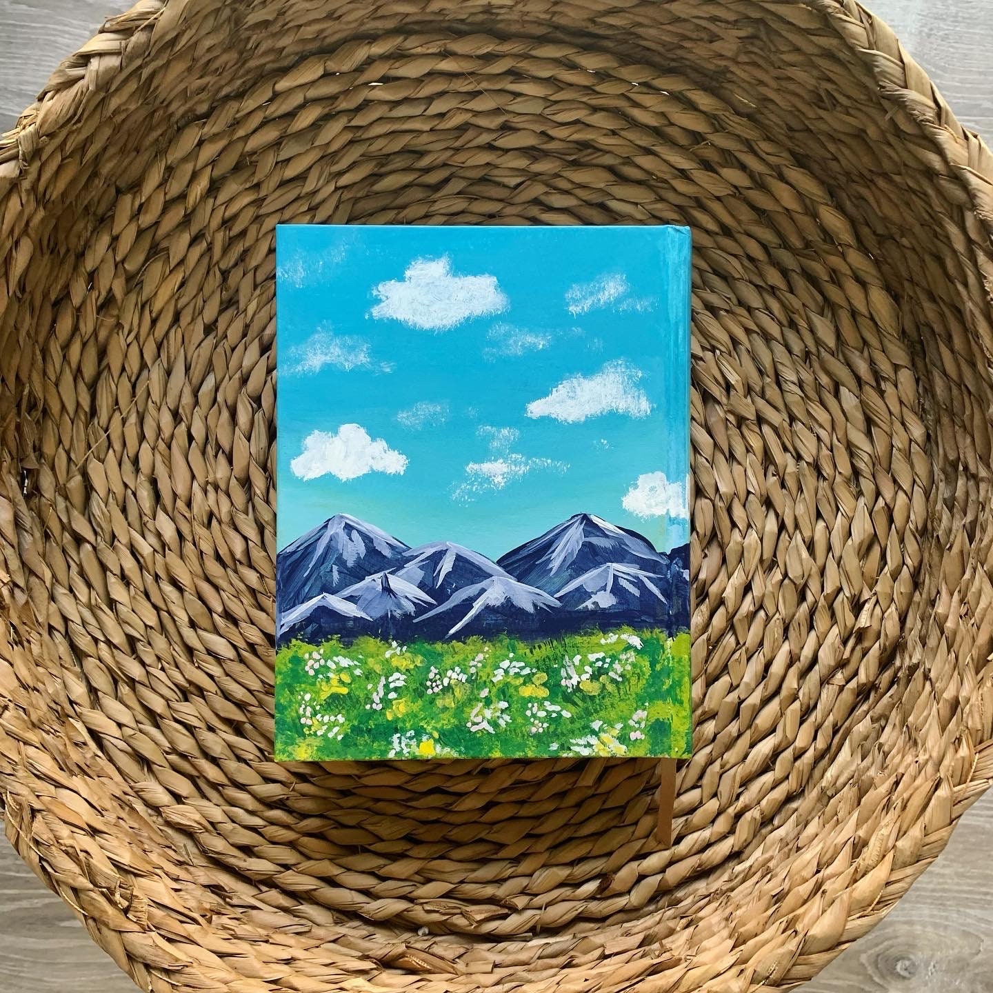 Mountain Meadow Hand Painted Bible ESV Journaling Etsy