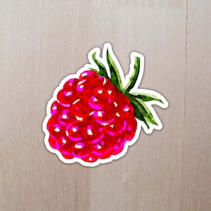 Raspberry Sticker | Fruit Sticker | Fruit Lover | Fruit Gift | Food Sticker | Berry Sticker | Food Gift | Laptop Sticker | Journal Sticker