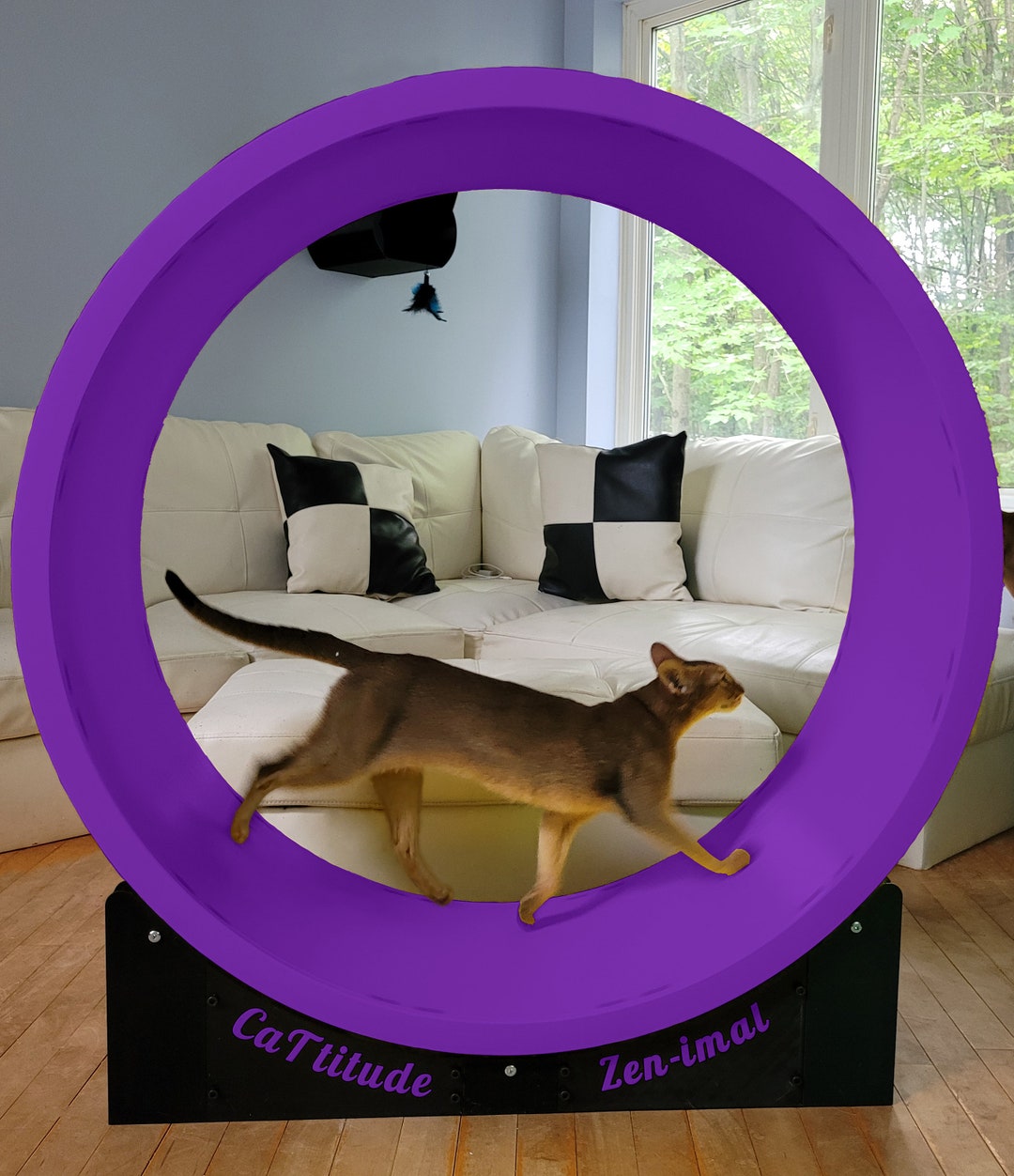 Cattitude Wheel Cat Exercise Wheels Made of 100 Ecological and