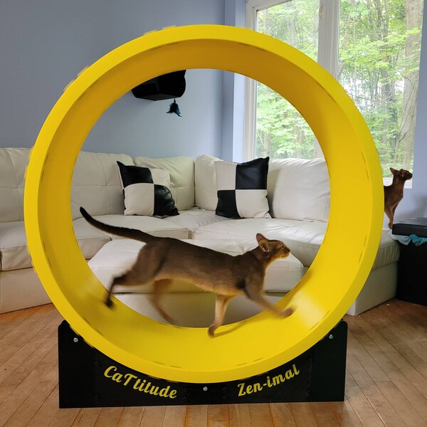 Cat Exercise Wheel Etsy