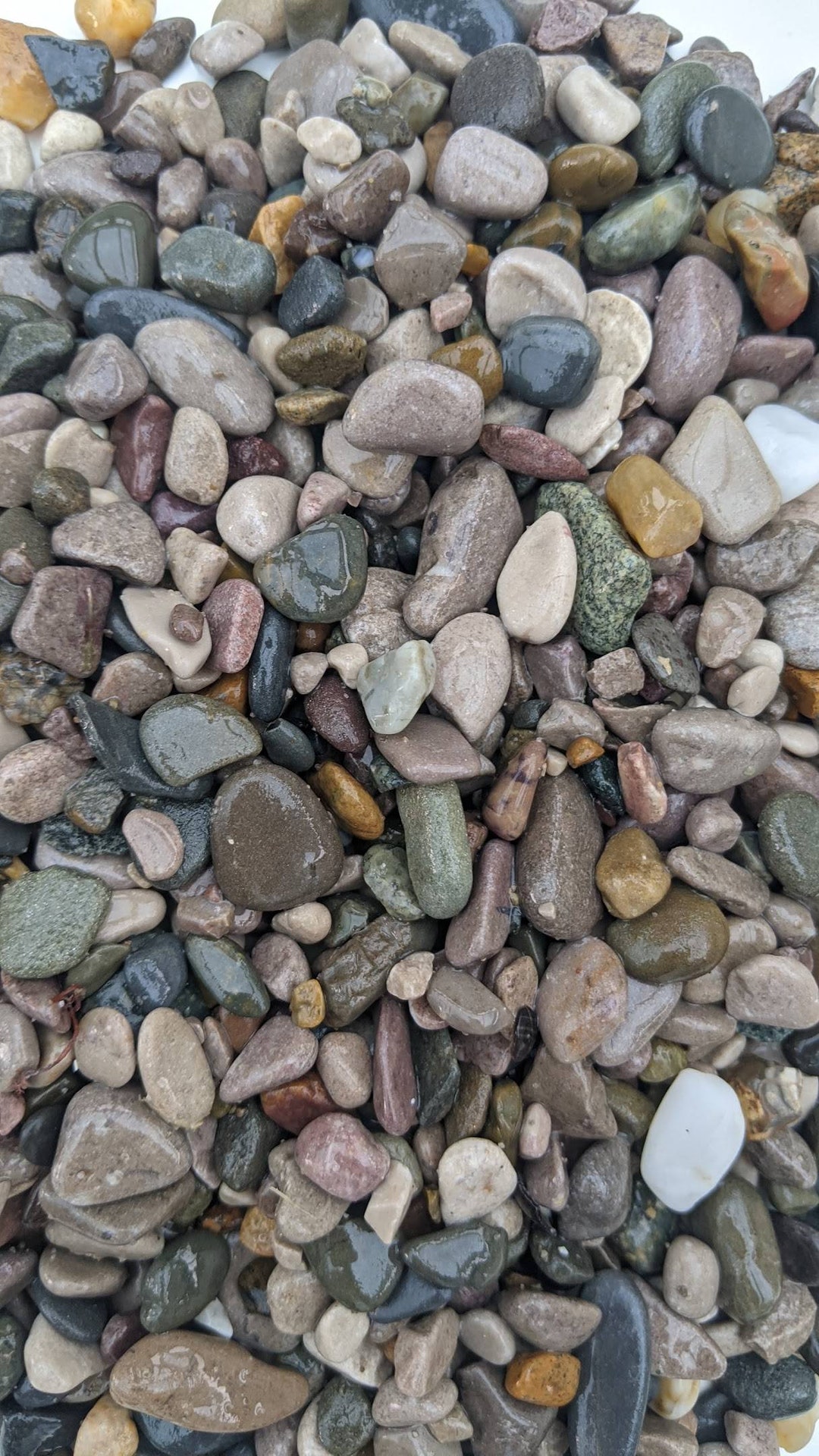 Natural Beach Pebbles Gravel Mosaic Art Supply Plant Toppings Terrarium