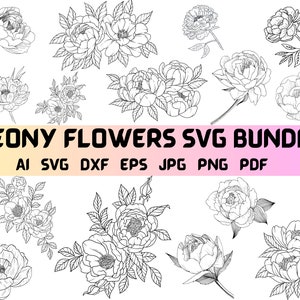 Pfingstrose svg Bundle, Pfingstrose svg, Pfingstrose Clipart, Hochzeit Pfingstrose svg, floral SVG, Blumenkranz svg bündel, Dateien für Cricut, Silhouette, Cricut
