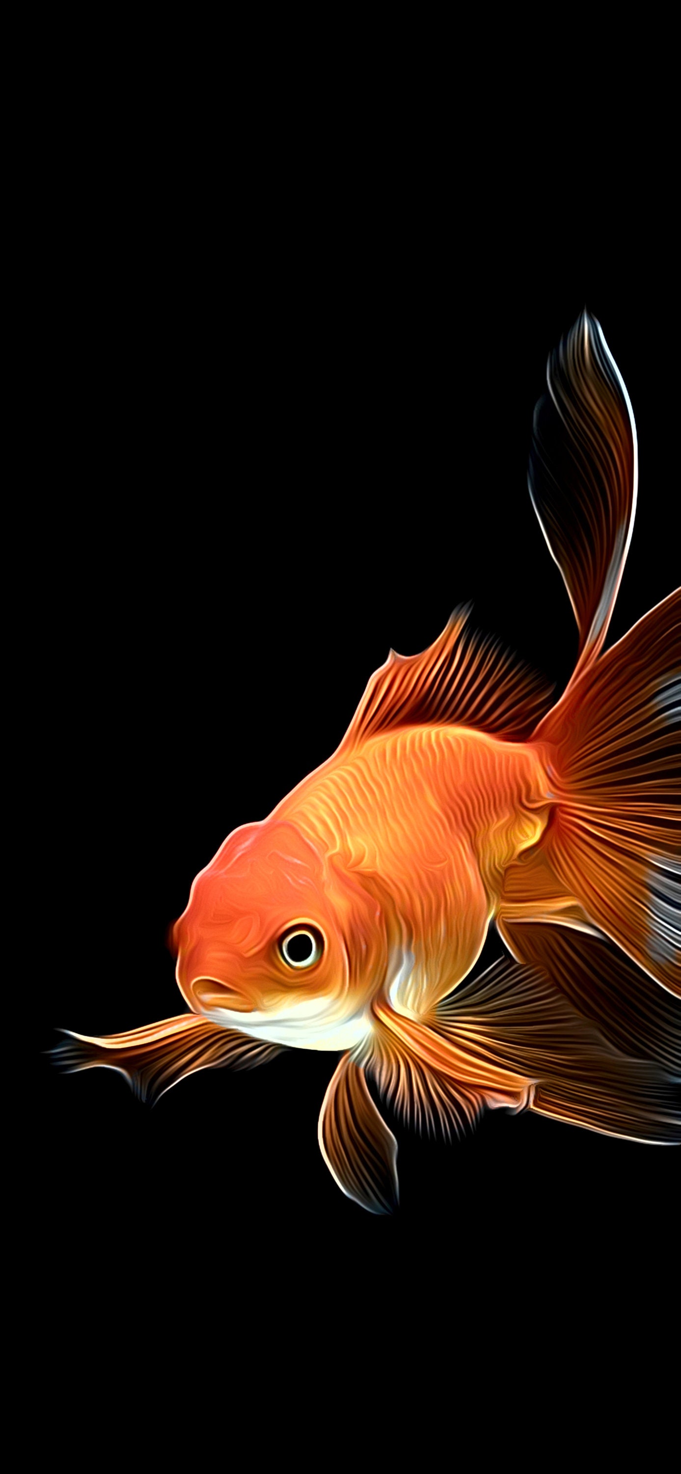 Goldfish Phone Wallpaper 3x Airbrush Design - Etsy Canada Goldfish Phone Wallpaper 3x Airbrush Design - Etsy Canada