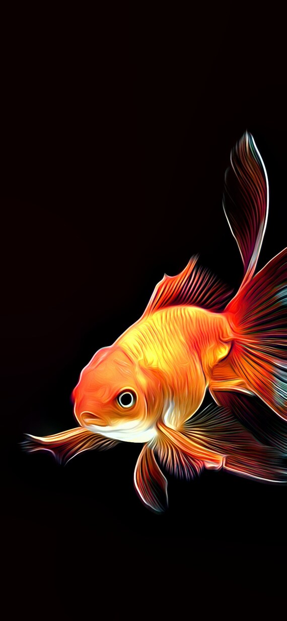 Goldfish Phone Wallpaper 3x Airbrush Design - Etsy UK