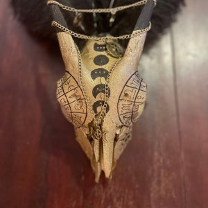 Handpainted Genuine Goat Skull-Zodiac-Witchy Art-Black and Gold-Boho Decor-Goat Head-Gothic Art-Pentacles-Moon Phases-Oddities-Bone