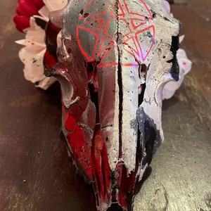 Handpainted Genuine Goat Skull- Pentacle- Gothic- Witchy Decor, Goat Head- Red, black, & White- Pentagram- Oddities- Bone- Gothic Wall Decor