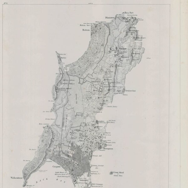 The Island of Bombay  1843 (Mumbai)