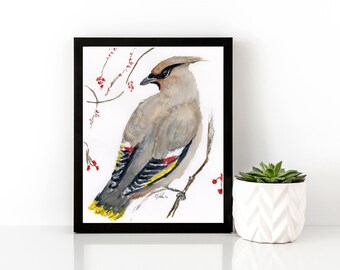 Cedar Waxwing on Branch Watercolour Print