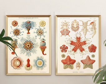 Aquatic Wall Art | Sea Life Posters for Beach-Themed Living Room & Bathroom- Digital Download – Instant Wall Art