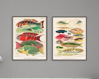 Vintage kitchen Print- Fishes Illustration - Wall Decor-Digital Download – Instant Wall Art