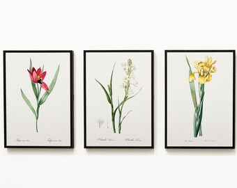 Flower Poster Set of 3 | Botanical Prints | Wall Art Decor-Digital Download – Instant Wall Art