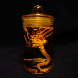 Alien Jar Xenomorph Specimen Facehugger Embryo Glass Jar Movie Prop Replica, Gift for Alien Fans, Sci-Fi fans Gift