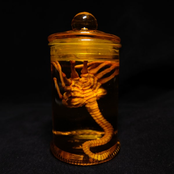 Alien Jar Xenomorph Specimen Facehugger Embryo Glass Jar Movie Prop Réplica, Regalo para fanáticos de alienígenas, Regalo de fanáticos de ciencia ficción