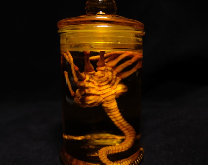 Alien Jar Xenomorph Specimen Facehugger Embryo Glass Jar Movie Prop Replica, Gift for Alien Fans, Sci-Fi fans Gift