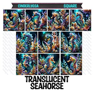 May include: A collection of square art prints featuring vibrant seahorse illustrations. The seahorses are depicted in a variety of colors, including blue, orange, and purple, set against a backdrop of coral and aquatic plants. The text "TRANSLUCENT SEAHORSE" is displayed at the bottom.