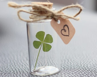 Gift lucky charm real 4 leaf clover good luck