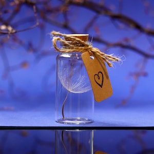 Geschenk Wunscherfüller echtes Pustenblumenschirmchen Wunschglas Bild 1