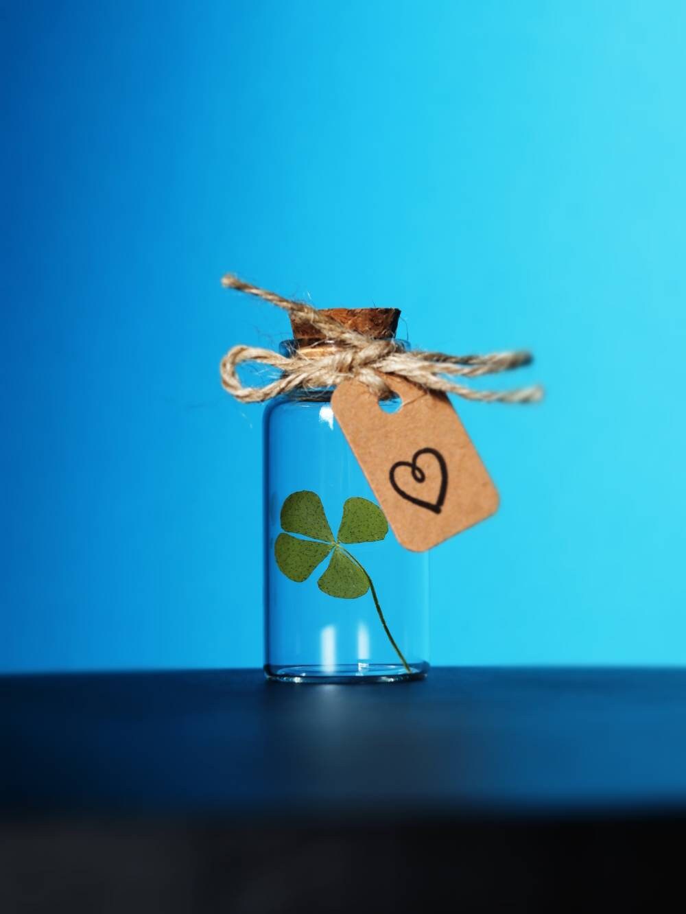 Buona Fortuna. (File: buona fortuna coccinella quadrifoglio.jpg
