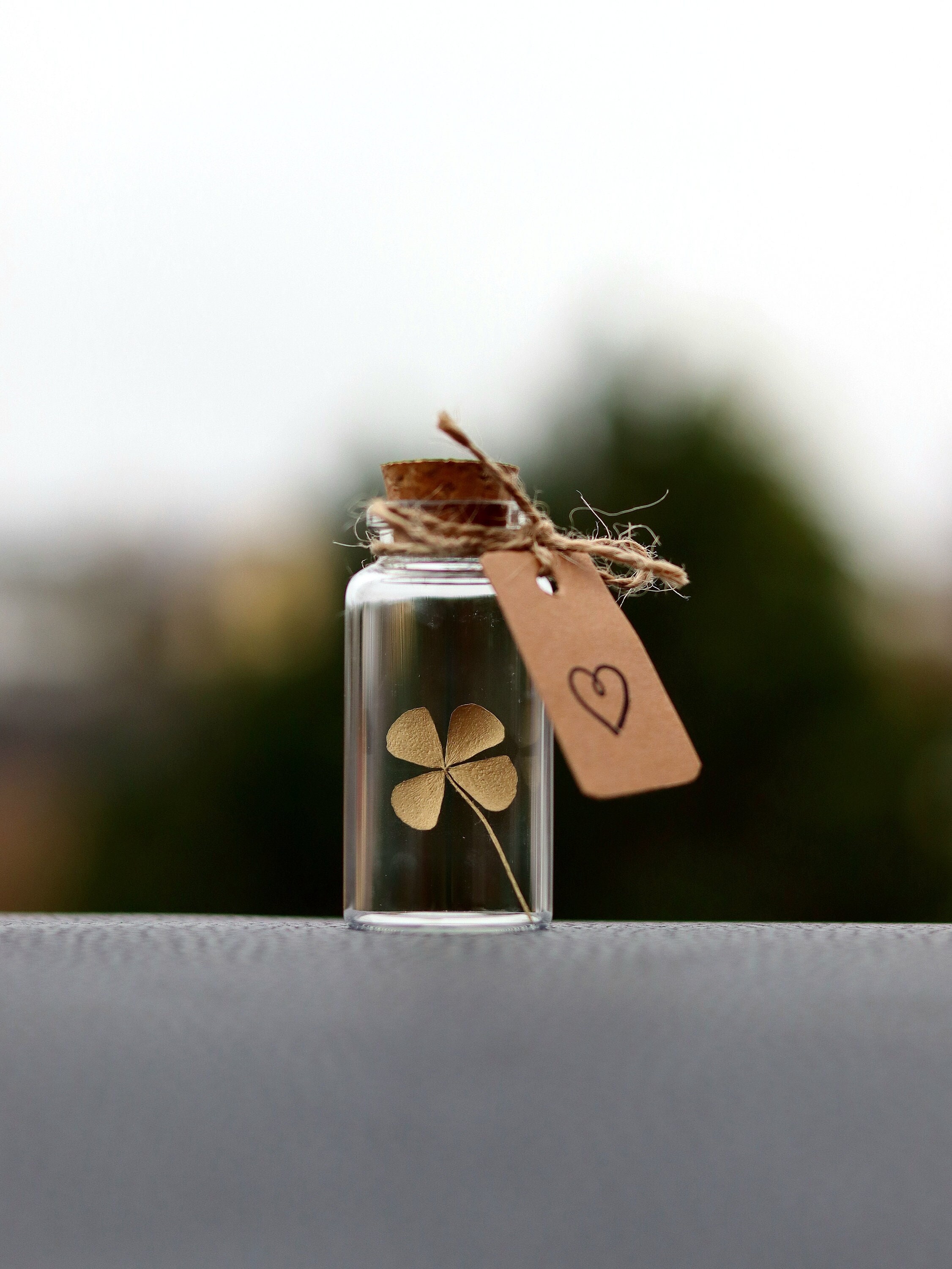 Gift lucky charm real 4 leaf clover gold good luck