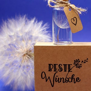Geschenk Wunscherfüller echtes Pustenblumenschirmchen Wunschglas Bild 5
