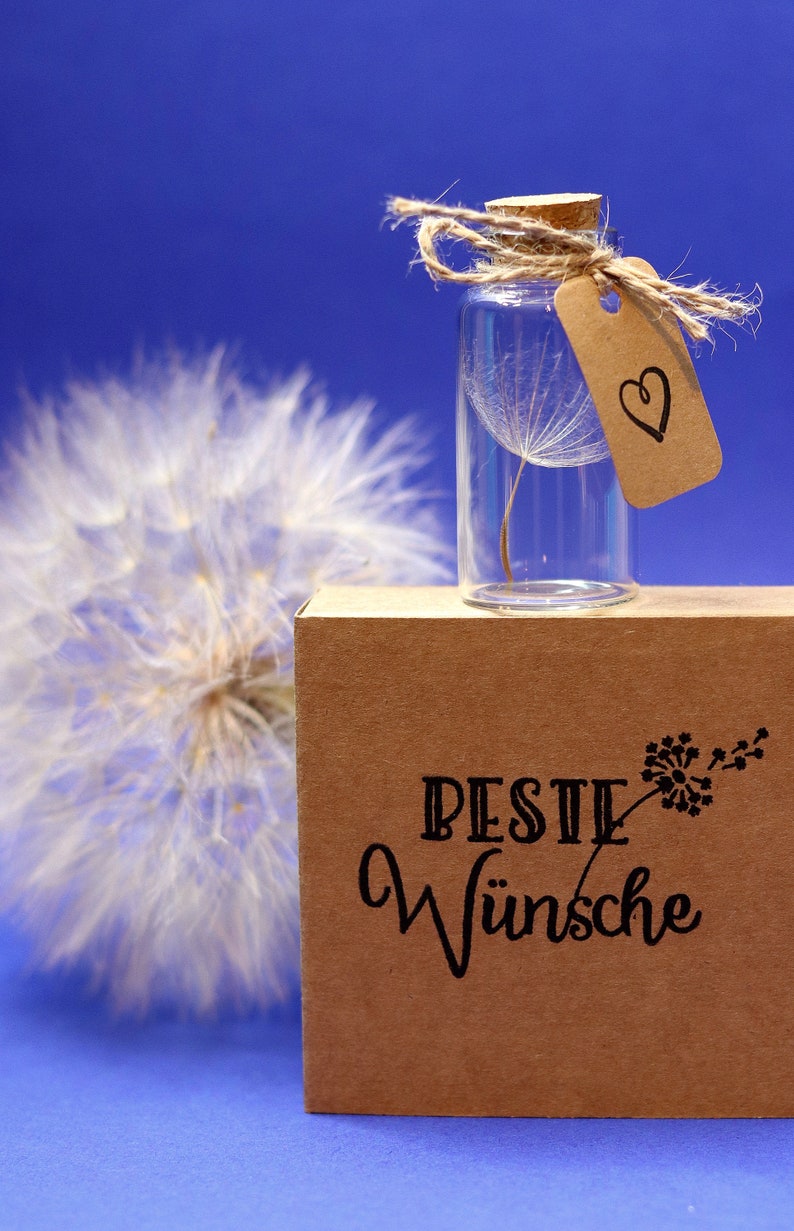 Geschenk Wunscherfüller echtes Pustenblumenschirmchen Wunschglas Bild 5