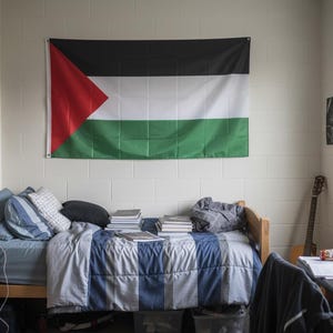 Palestinian Flag – Red, Green, White & Black National Banner, Indoor/Outdoor Palestine Flag, Patriotic Decor
