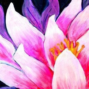 Può includere: Un giglio d'acqua rosa e bianco vibrante con accenti viola dipinti su uno sfondo blu scuro.