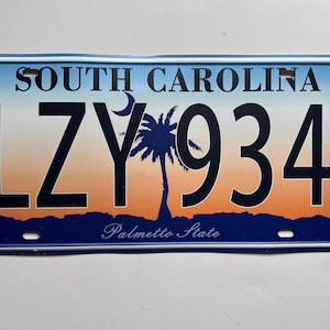 Placa de carro da Carolina do Sul LZY934 Placas de garagem para homens Placas de transporte Decoração de parede para caverna masculina Decoração de quarto Placas dos EUA Placa para carro 12" x 6