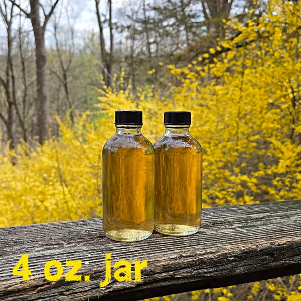 Forsythia Flower Syrup, 2 & 4 oz. jars