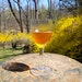 Tree to Table