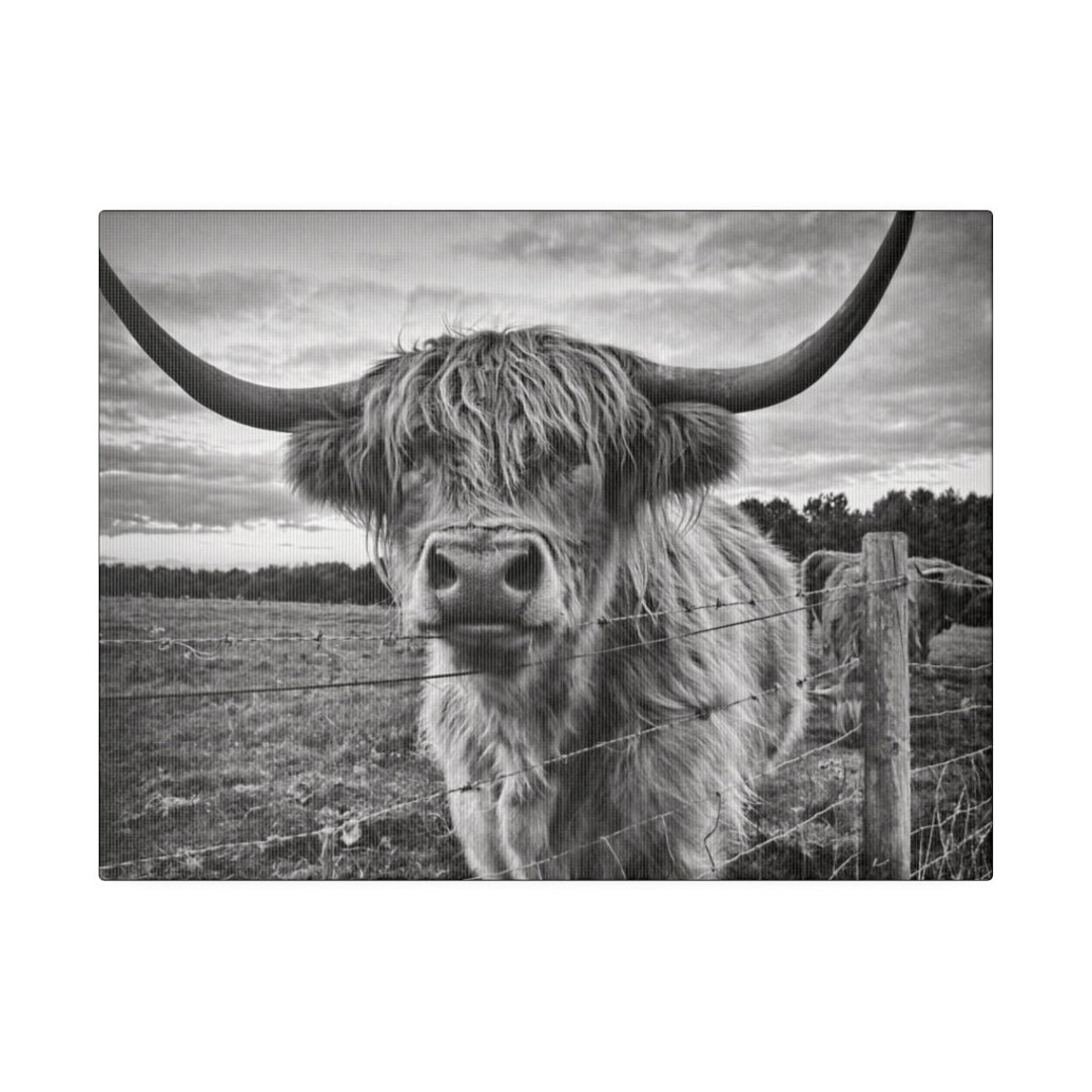 Black and White Highland Cow Canvas Print, Modern Minimalism, Fashion