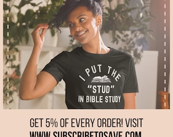 Eu coloquei o garanhão no estudo da Bíblia, camiseta cristã engraçada, presente para pastor, líder de adoração, camiseta religiosa, camiseta pastor, camiseta cristã
