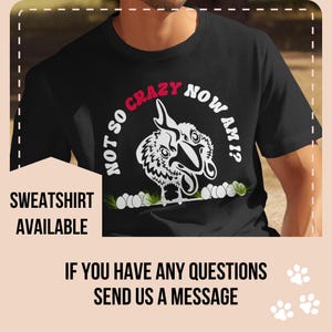 Crazy Chicken Lady T-shirt, Funny Chicken Owner Shirt, Backyard Hens Tee, Humorous Fowl Shirt, Chicken Owner Tee, Price of Eggs Top
