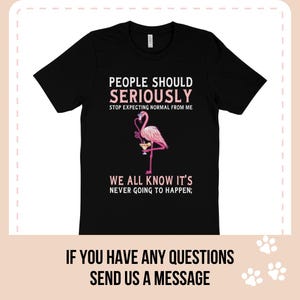 People Should Stop Expecting Normal from Me T-shirt, Sarcastic Novelty, Humorous Flamingo Tee, Drinking Flamingo Shirt, Drunk Pink Bird Tee