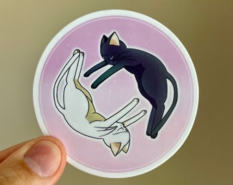 Katzen Sticker - Meme Sticker - Lustige Sticker - Sticker für Wasserflasche - Sticker für Laptop - Lustige Geschenke - Auto Sticker - Meme Sticker