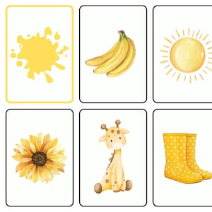 Montessori Farbenspiel für Kinder | Farben sortieren | Digitaler Download