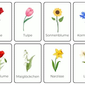 Kwiaty i rośliny | Fiszki Montessori dla dzieci | Pobieranie cyfrowe