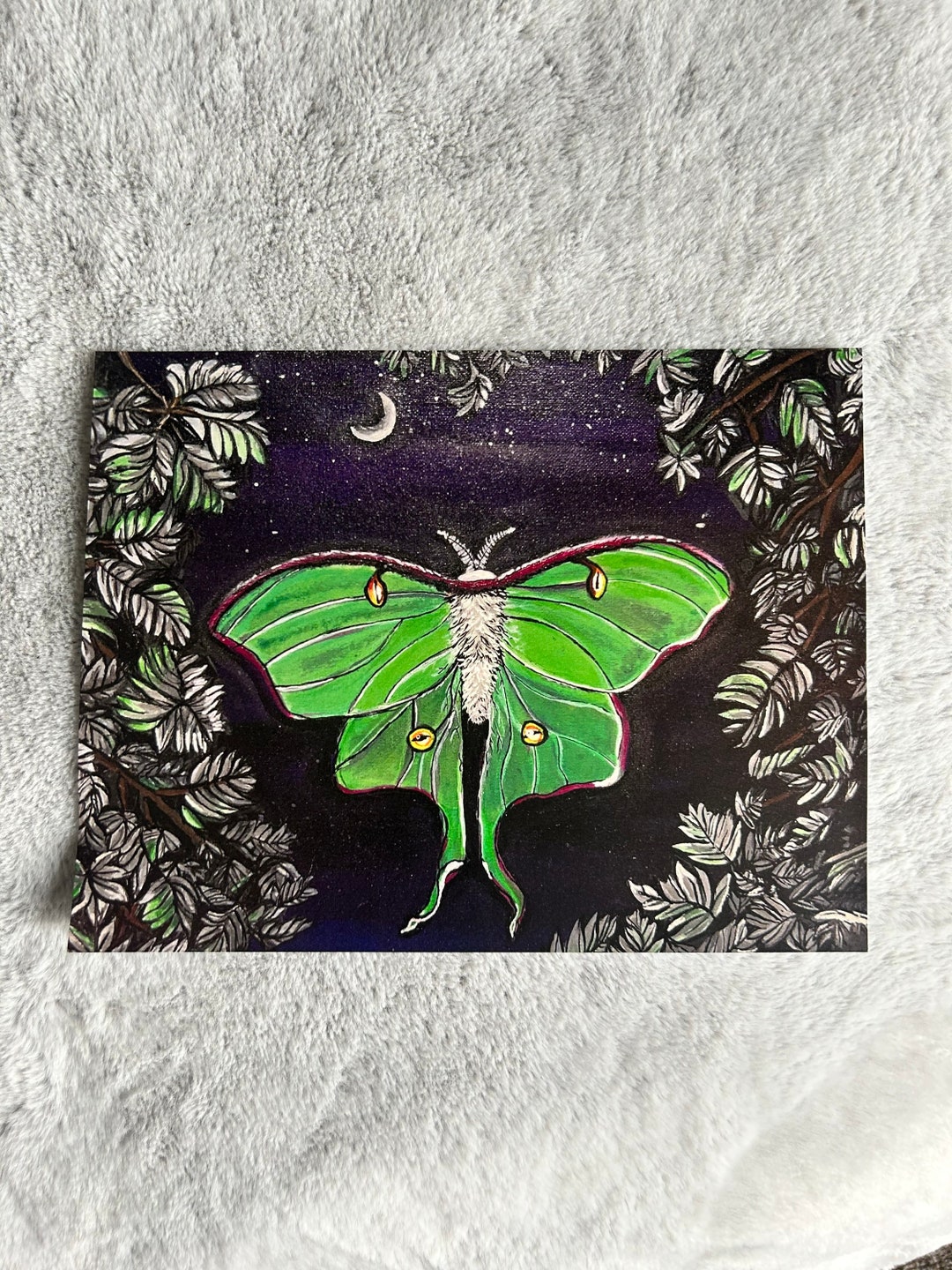 Luna Moth Art Print - Etsy