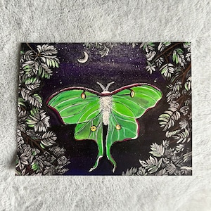 Luna Moth Art Print