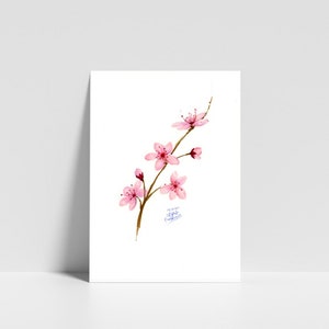 Sakura Blume - BleistiftZeichnung - KUNSTDRUCK