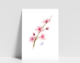 Sakura Flower - Dessin au crayon - IMPRIMER